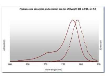 Fluorophore-linked immunosorbent assay: Goat anti-Rat IgM Heavy Chain Secondary Antibody [DyLight 800] [NBP1-72980] - Fluorescence absorption and emission spectra of Dylight 800 in PBS, pH 7.2.